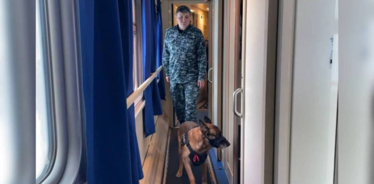 Полицейлер есірткі тасымалдаған шетелдік азаматты ұстады