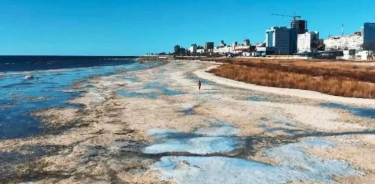 Каспий теңізінің жағалауында орналасқан 50 га жер мемлекетке қайтарылды