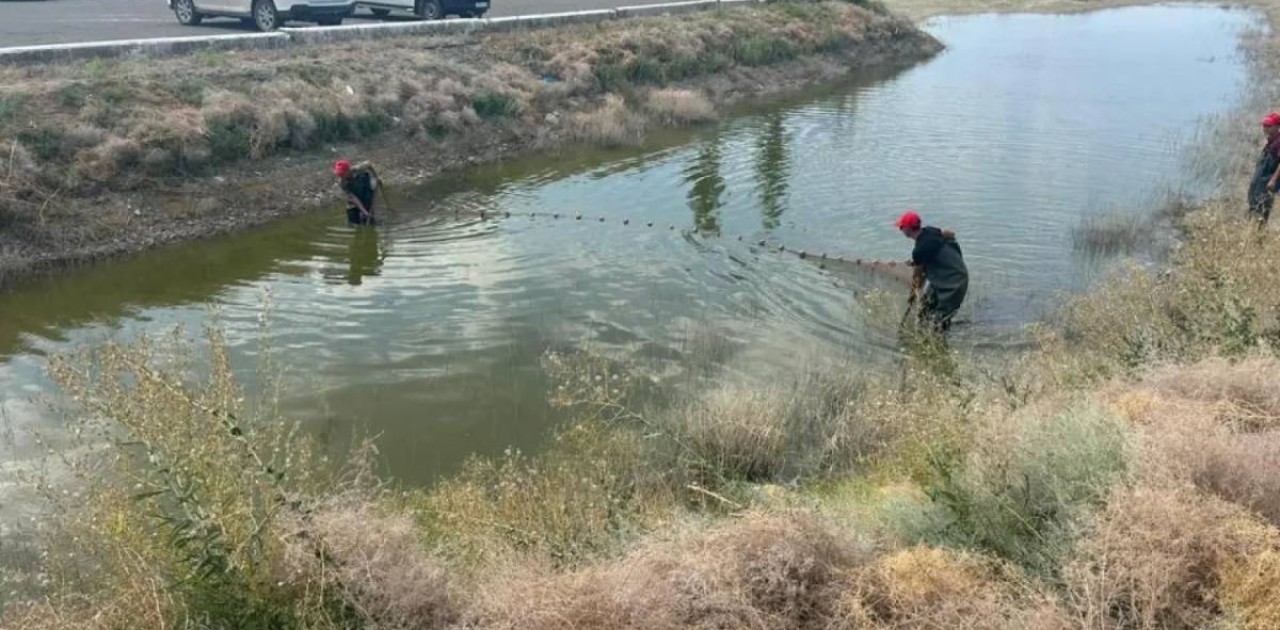 340 мыңға жуық шабақ Жайық өзеніне жіберілді