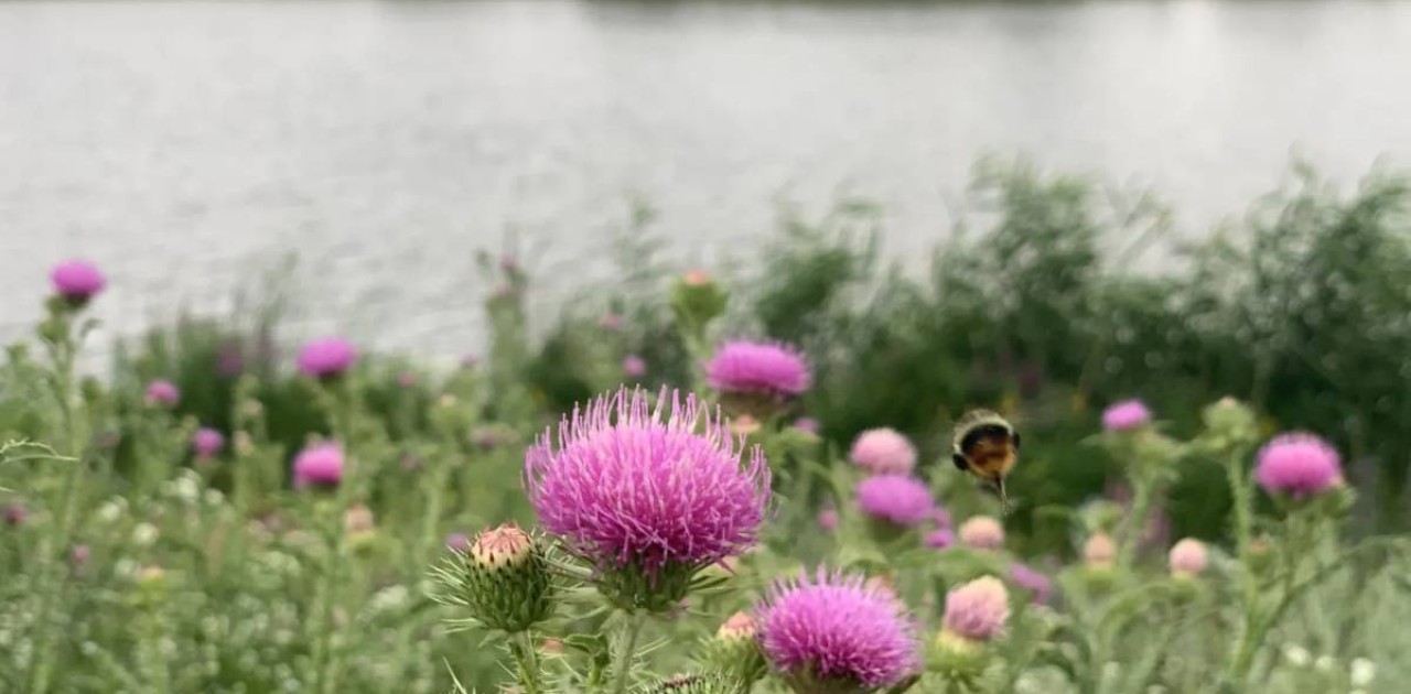 Найзағай, бұршақ, дауыл: Сенбіге арналған ауа райы болжамы