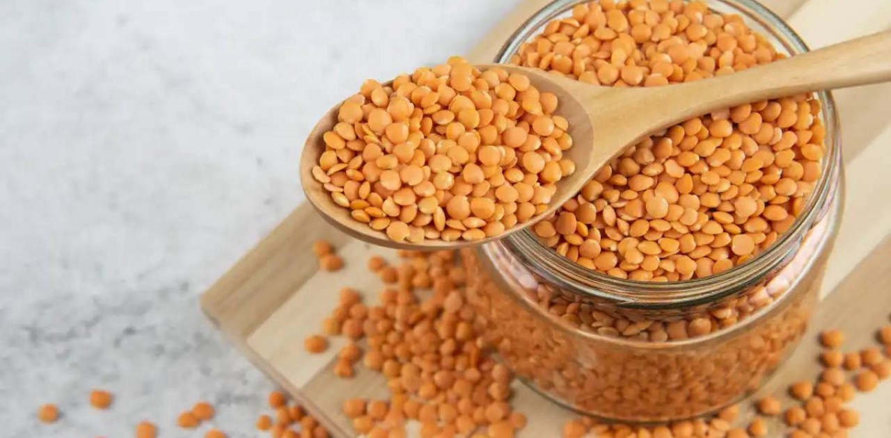 Ресей қазақстандық зығыр мен жасымықтың импортына салынған тыйымды жойған жоқ