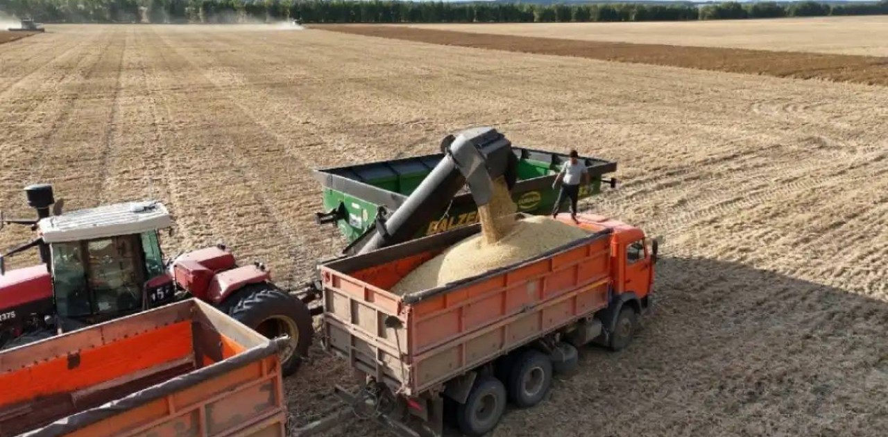 Қазақстанда 22,7 млн тонна астық бастырылды