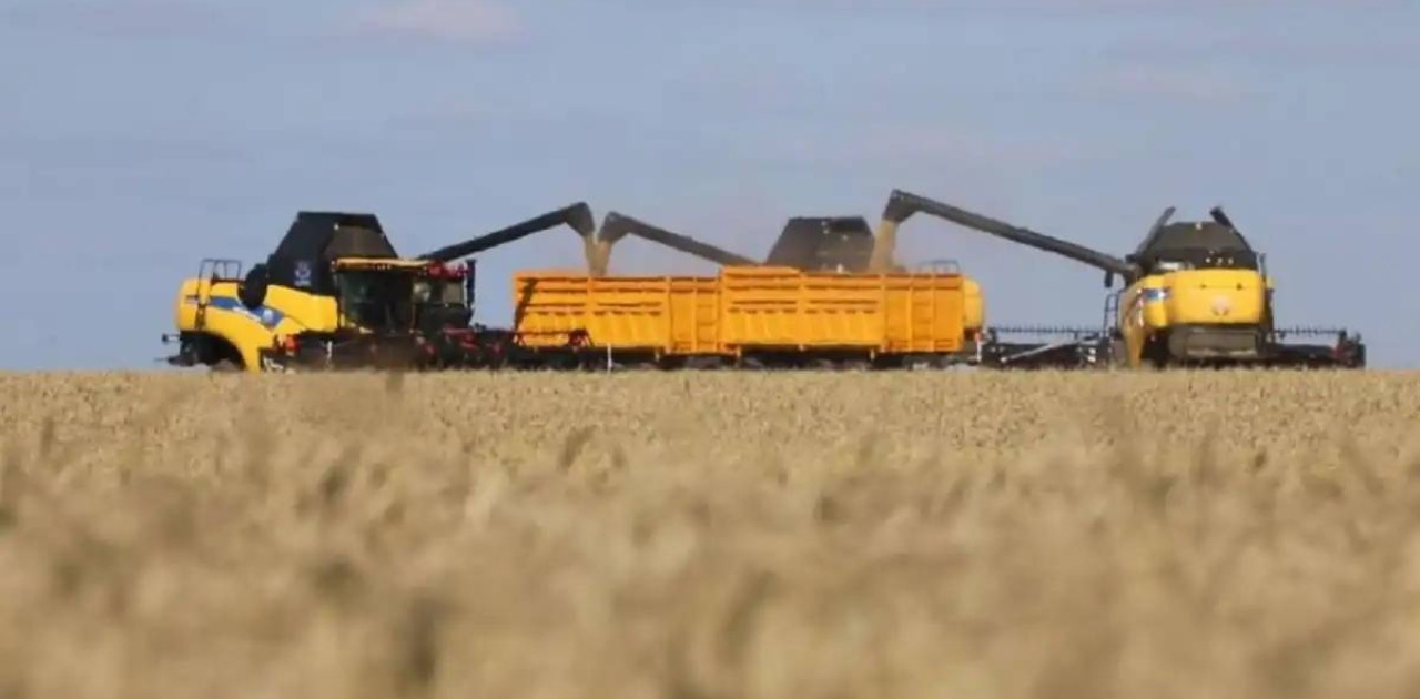 Елімізде бұршақты дақылдарды жинау рекордтық көрсеткішке жетті