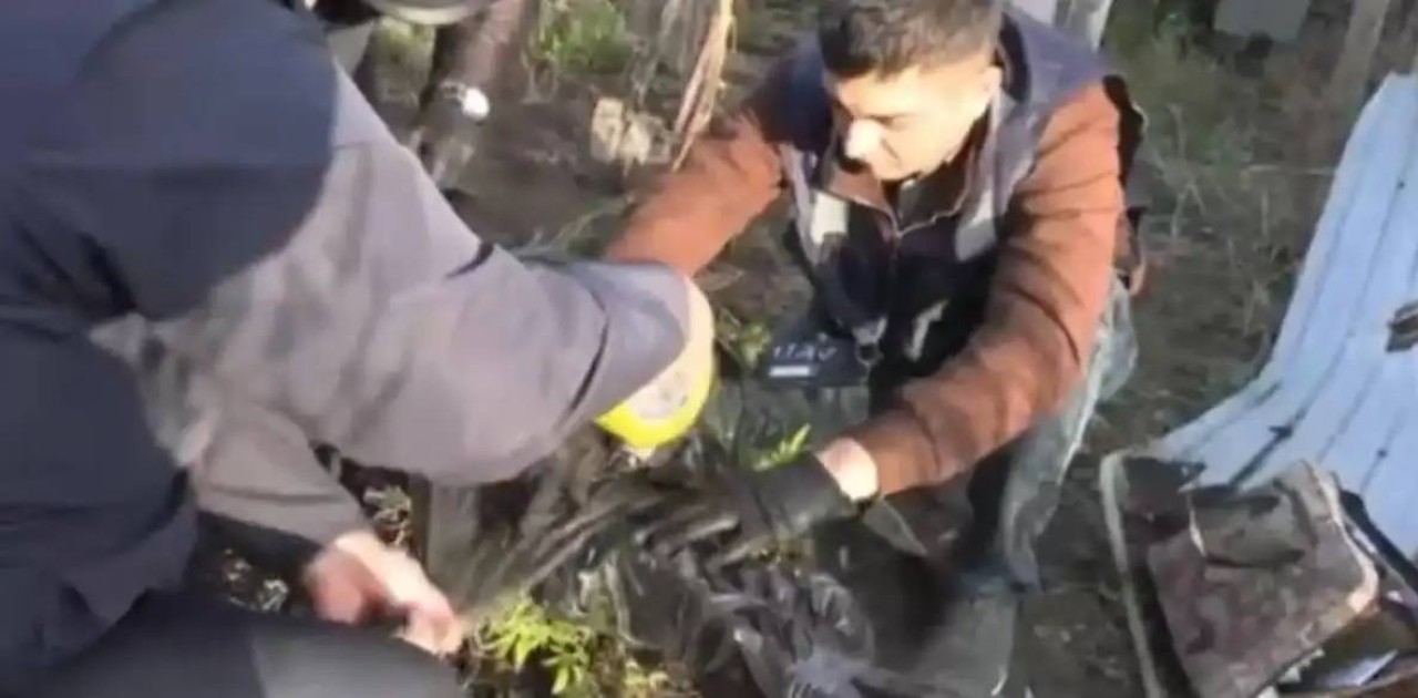 Жасырын зертханада БҚО тұрғыны құрамында есірткі бар өсімдік өсіргені анықталды