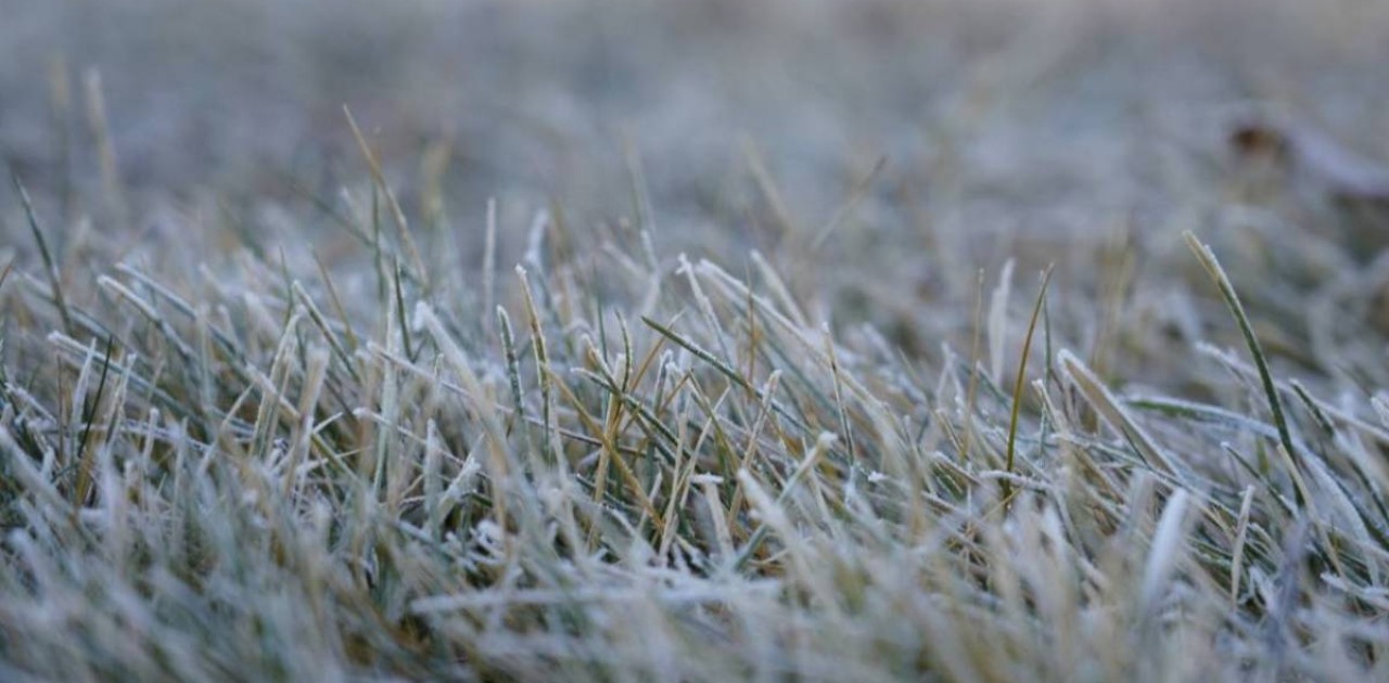 «Дөңгелектеріңізді ауыстырыңыздар»: Ақмола полициясы жүргізушілерге ескерту жасады