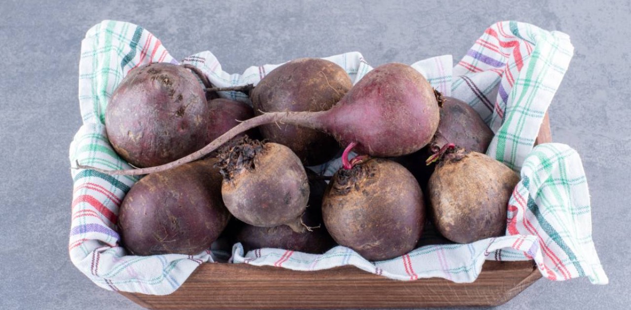 Үкіметте қант қызылшасын қабылдау және өңдеу жоспарлары айтылды