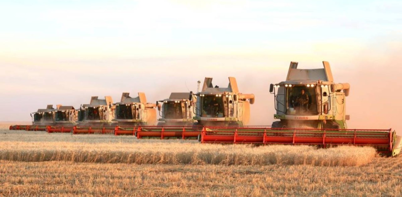 Елде дәнді дақылдарды жинау толық аяқталды — министр