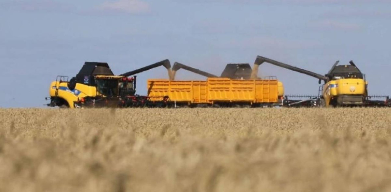 «Рекордтық жыл»: Қазақстанда 27 млн тонна астық жиналды