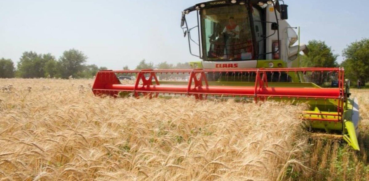 Биыл елімізде рекордтық астық жиналды – министрлік