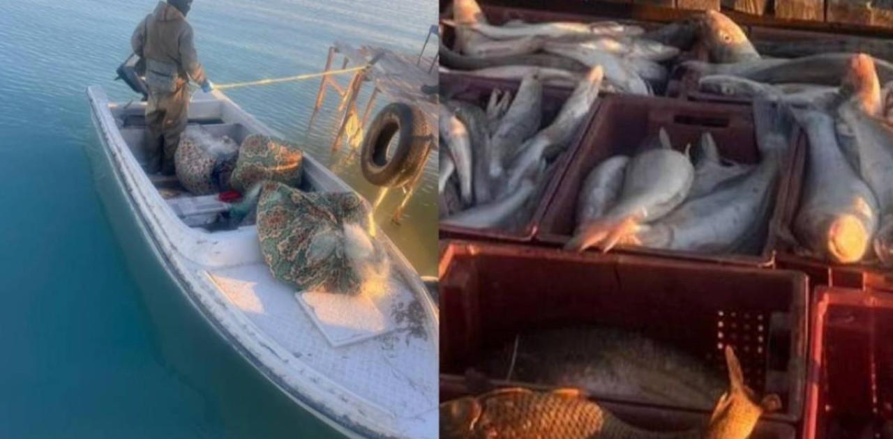 Балқаш көлінде 250 келі балықты заңсыз аулаған браконьерлер ұсталды