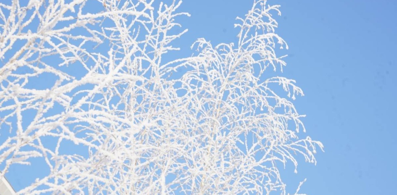 Қазақстанда қыс мезгілінде қайда демалуға болады