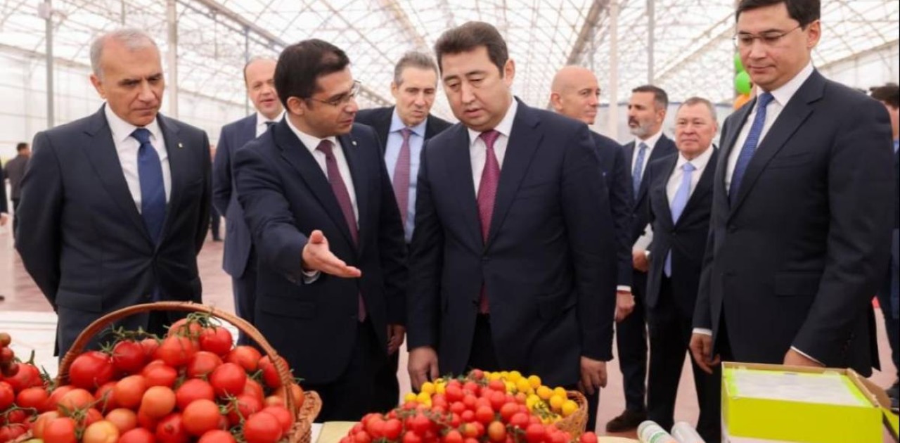 Шымкентте жылына 155 мың тонна қызанақ өндіретін жылыжай кешені іске қосылды