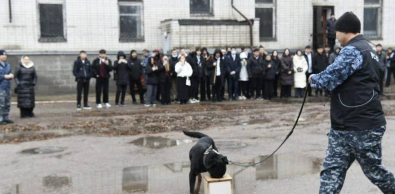 Астаналық студенттер кинологиялық қызметтің қыр-сырымен танысты