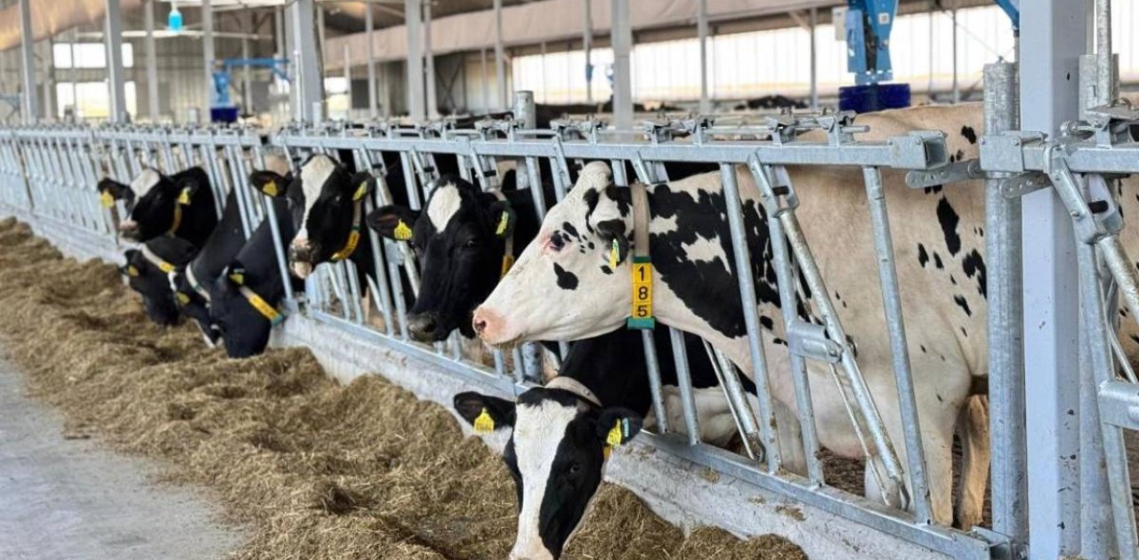 40 млн тонна мал азығы жиналды – АШМ