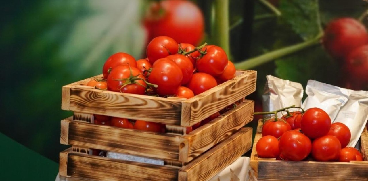 Шымкентте құны 69 млрд теңгені құрайтын жылыжай кешені салынады