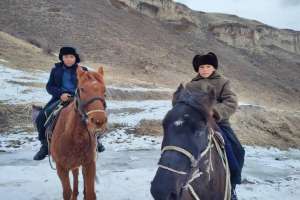 «Бауырына салу» фильмі халықаралық фестивальдерде топ жарды