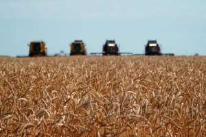 Елде алдағы үш жылда 200-ден астам агроөнеркәсіптік жоба қаржыландырылады