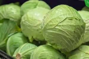 Шекарада ерте пісетін көкөністерге арналған «жасыл дәліз» ашылады