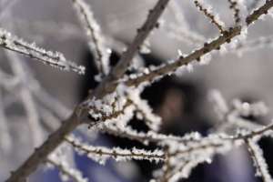 Республикалық маңызы бар автожолдардың барлығы ашық – Қазавтожол