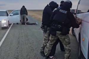 Мал ұрлығына қарсы операция: полиция төрт қылмыстық топтың жолын кесті
