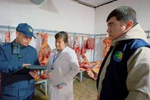 Атырауда мал ұрлығына қарсы шара басталды: базар тексеріліп жатыр