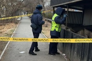 Кентауда қоқыс жәшігінен жаңа туған сәбидің денесі табылды