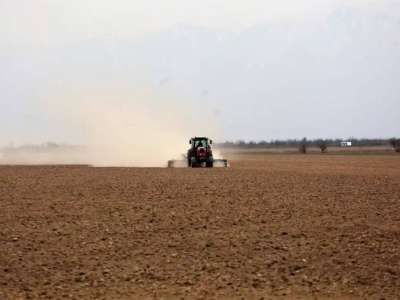 Қазақстанның оңтүстік өңірлерінде көктемгі егіс науқаны аяқталуға жақын