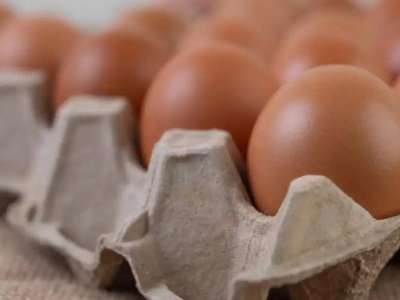 Жұмыртқа бағасын тұрақтандыру бойынша меморандум жасалды