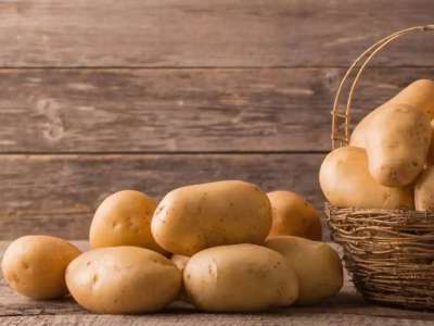 Қазақстаннан үшінші елдерге картоп экспорттауға тыйым салынды