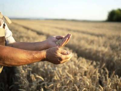 Жеңілдетілген несиелеу бағдарламасы: 7,5 мыңға жуық шаруа қаржыландырылды