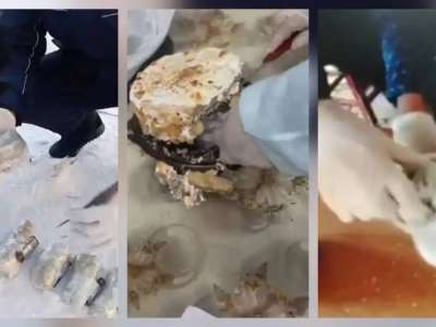 Алматылық адвокат колонияға тыйым салынған затты кіргізуге тырысқан