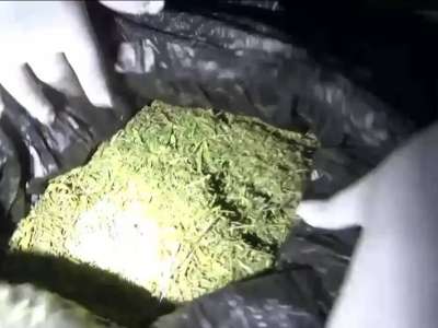 Жамбыл облысында ірі көлемде есірткі сақтаған тұрғын ұсталды