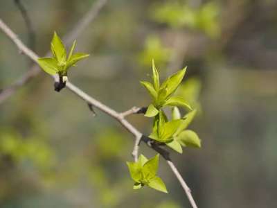 Еліміздің басым бөлігінде өрт қаупі болжанды