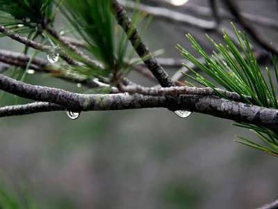 Елімізде күн күрт суытады – Қазгидромет