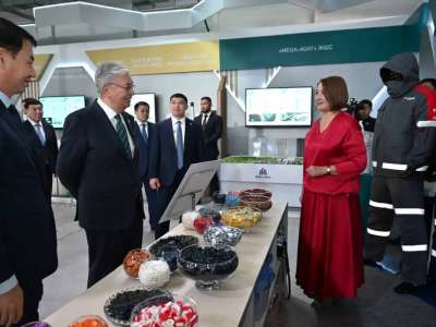 Президент Түркістан облысының өндірістік паркіндегі кәсіпорындарды аралады