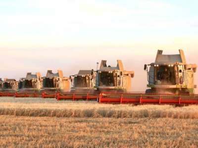 Барлық астық қабылдау кәсіпорындары тұрақты режимде жұмыс істеуі тиіс — Премьер-министр