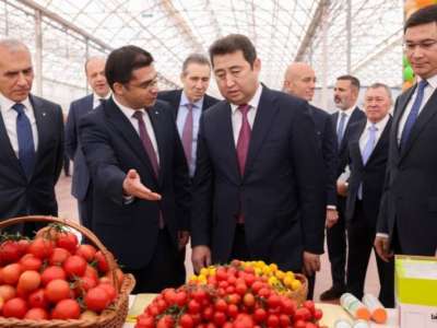 Шымкентте жылына 155 мың тонна қызанақ өндіретін жылыжай кешені іске қосылды