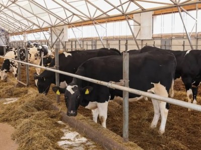 Ірі қара мал етін шет елдерге экспорттауға рұқсат күшіне енді