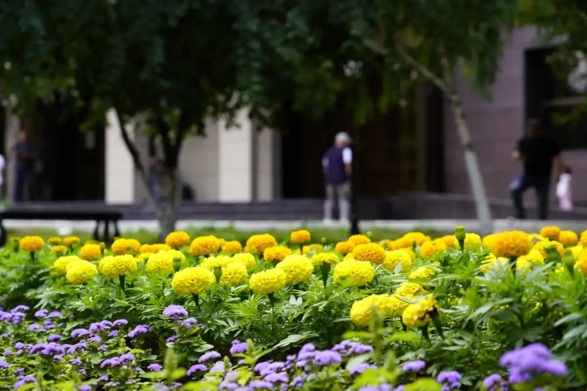 Астанада Конституция күні қарсаңында жаңа гүлзар ашылды