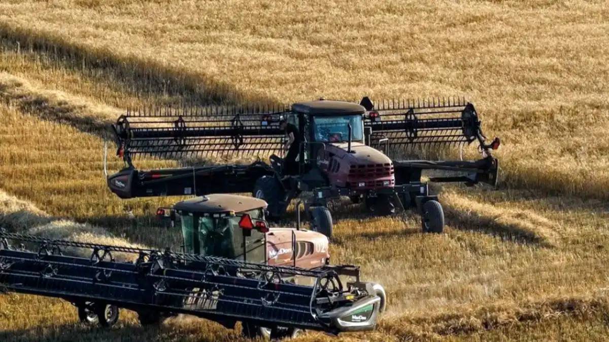 Қазақстан өзін азық-түлік тауарларының негізгі түрлерімен толық қамтамасыз етеді – министр