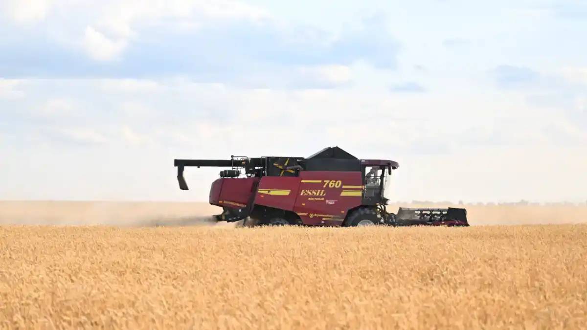 Екінші деңгейлі банктер дихандарға жеңілдетілген несие беретін болды