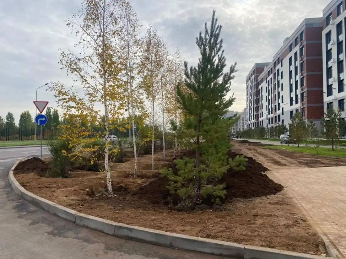 Жыл соңына дейін елорданың Алматы ауданында 6 мыңнан астам ағаш отырғызылады