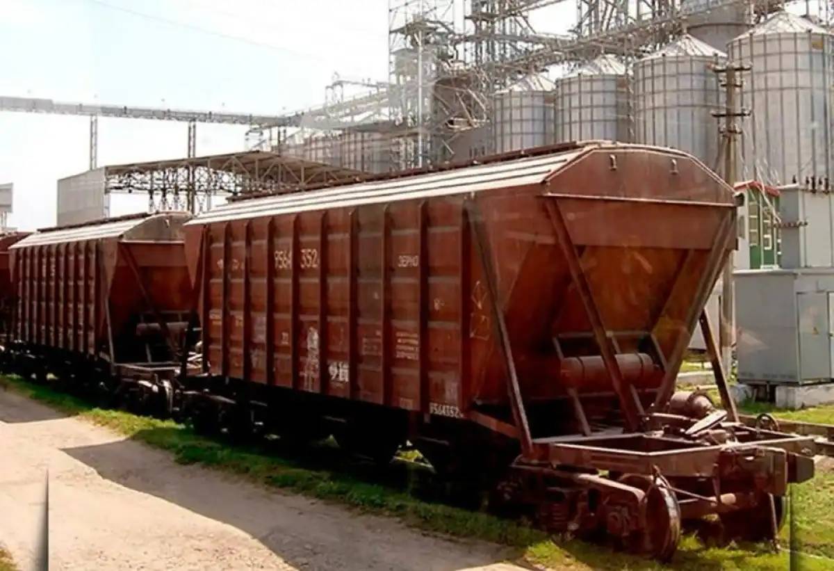 Ауыл шаруашылығы өндірушілері мен астық экспорттаушыларына 2,8 млрд теңге төленді