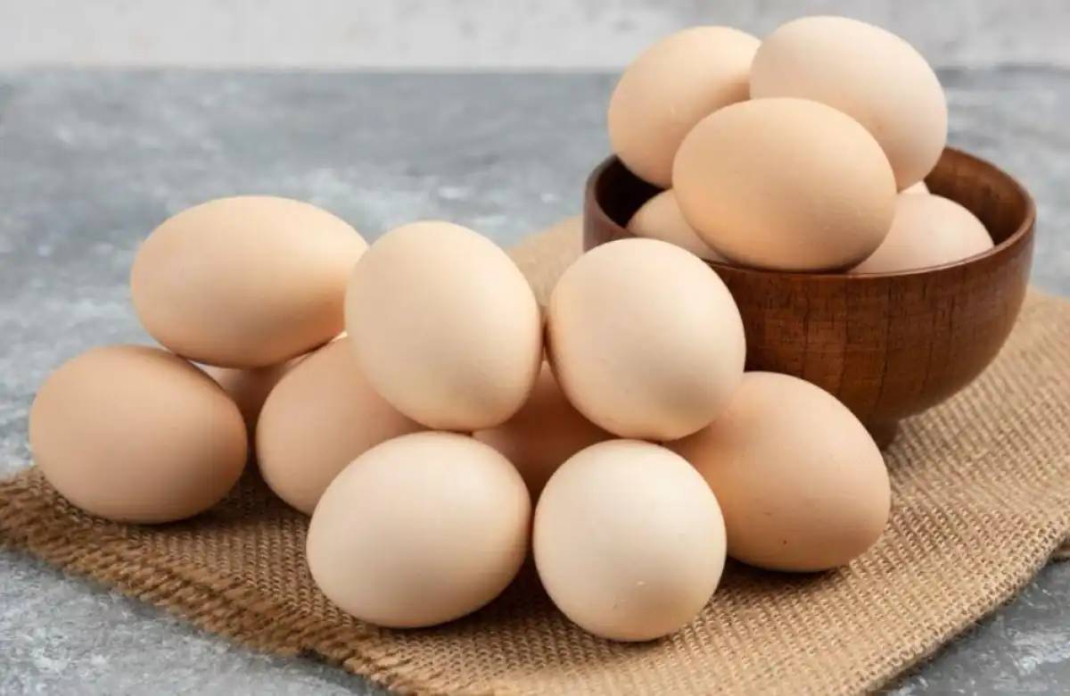 Елімізде жұмыртқаны терең өңдейтін зауыт салынады