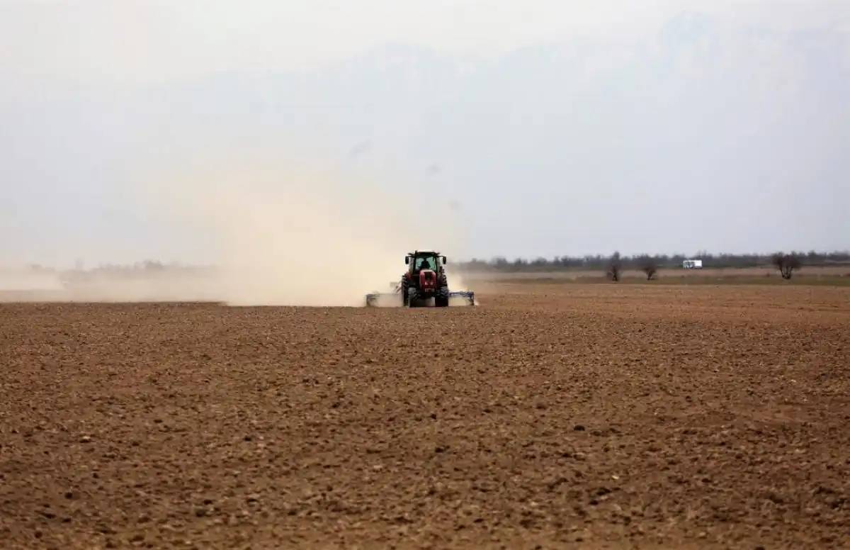 Қазақстанның оңтүстік өңірлерінде көктемгі егіс науқаны аяқталуға жақын