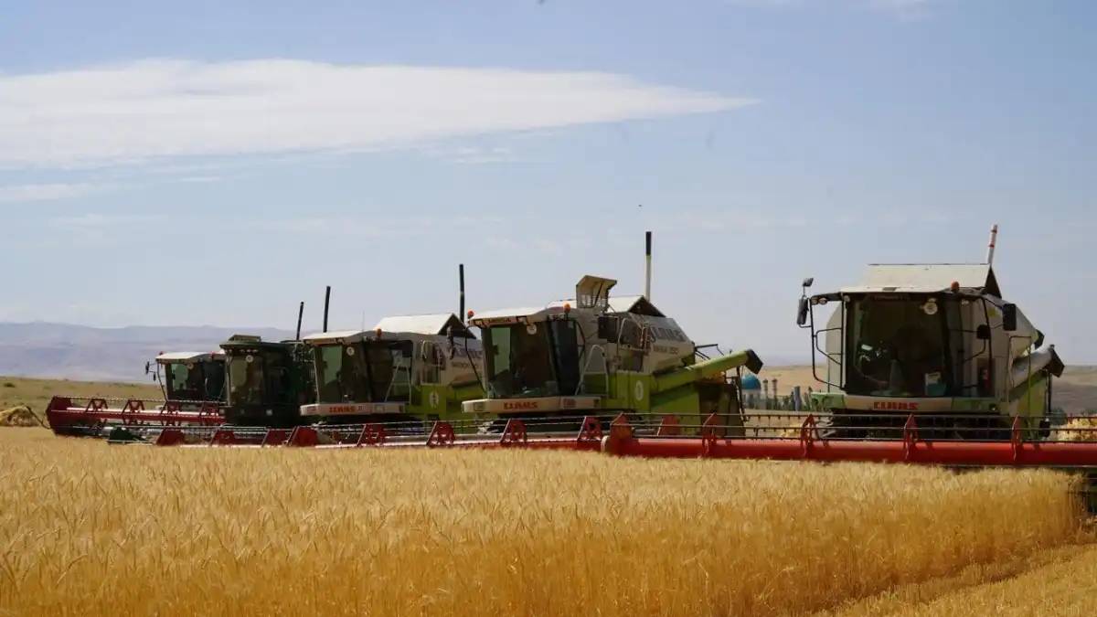 Қазақстанда ауыл шаруашылығы санағының офлайн кезеңі басталады