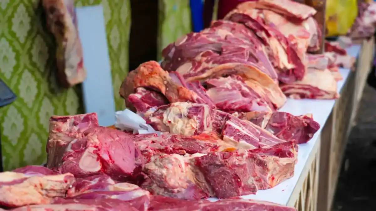 «Ешқандай күмән болмауы керек»: экология министрі киік етінің сапасы туралы айтты