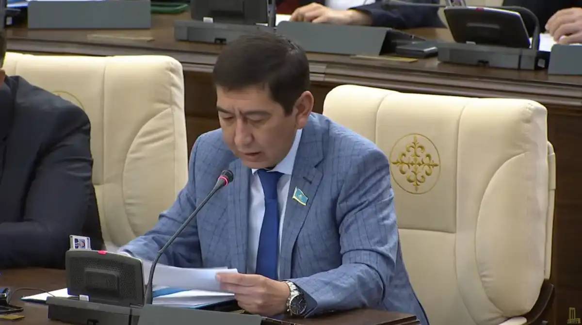 «Қаржы жоқ деген сылтау деп ойлаймын»: Ринат Зайытов ең төменгі жалақығы қатысты айтты