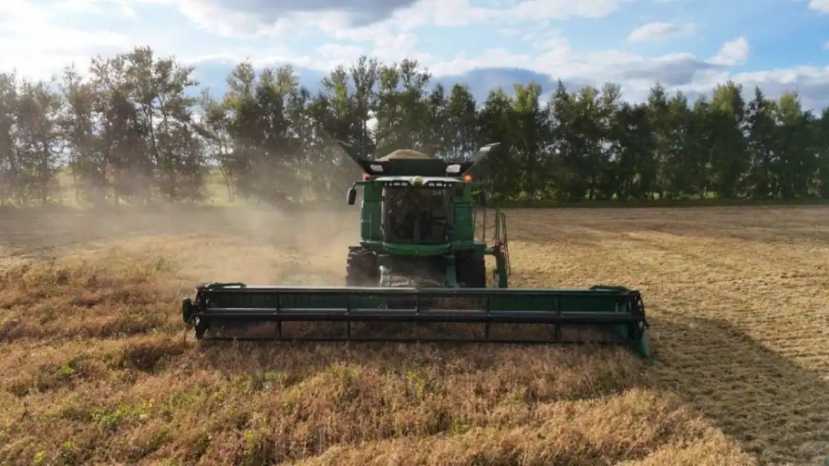 Қазақстанда 5,9 млн тонна астық жиналды