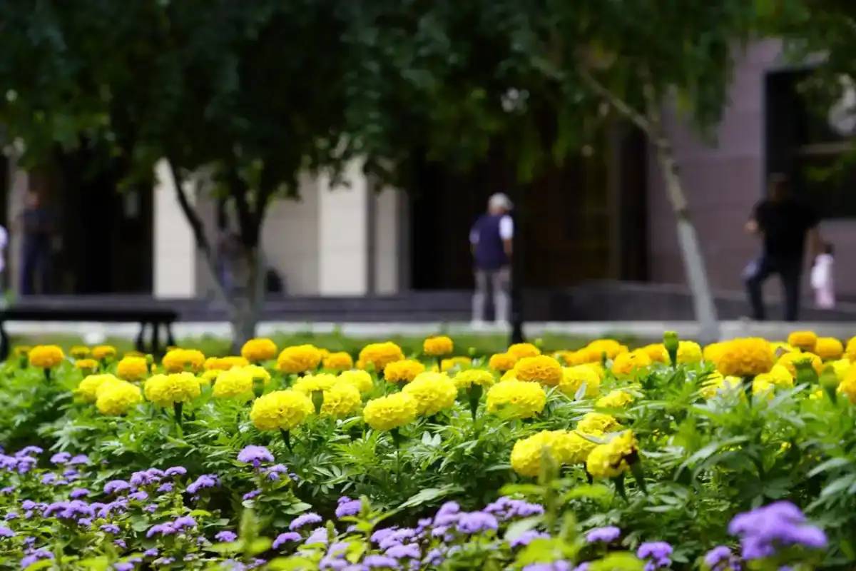 Тамыз айының соңғы күндері ауа райы қандай болады